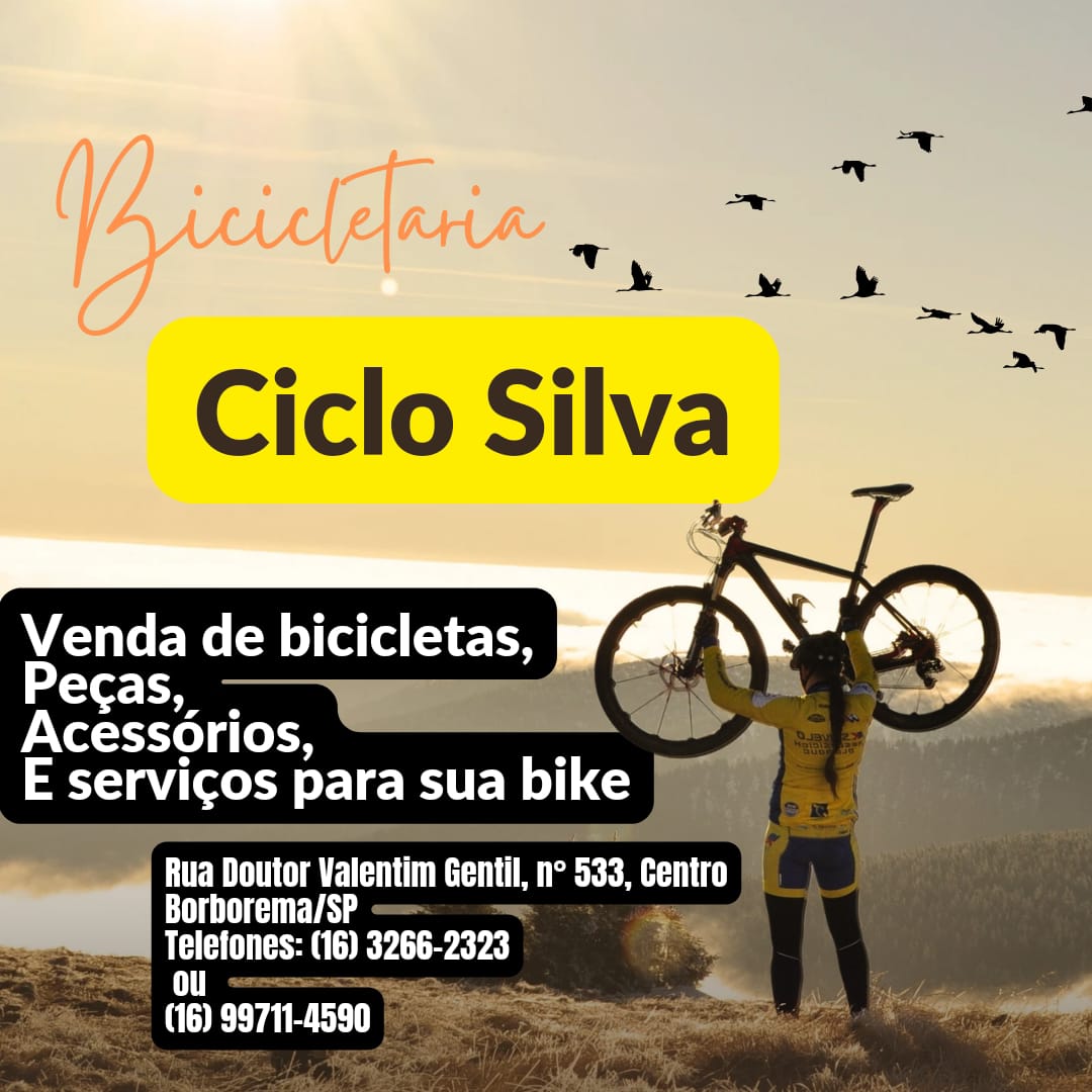 CICLO SILVA